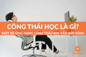 công thái học là gì