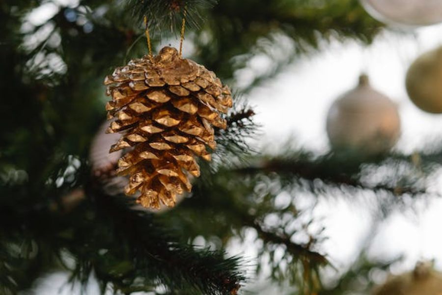 Sử dụng quả thông trong trang trí cây tùng thành cây thông Noel