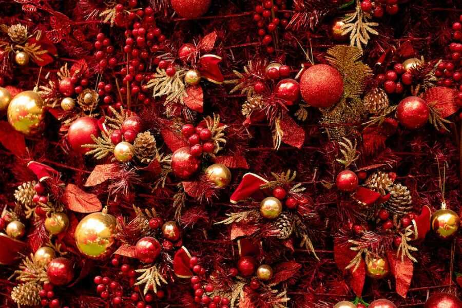 Trái cây sấy khô luôn là một trong những dụng cụ không thể thiếu trong trang trí Noel