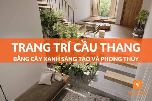 ý tưởng trang trí cầu thang bằng cây xanh tươi mát và phong thủy