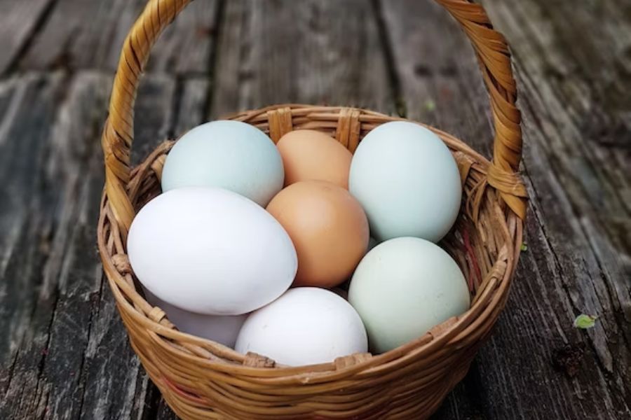 Trứng là nguồn thực phẩm giàu chất béo, muối khoáng