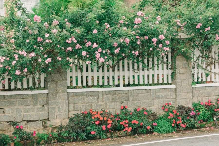 Mẫu hàng rào hoa kết hợp giữa tường gạch và gỗ đẹp mắt