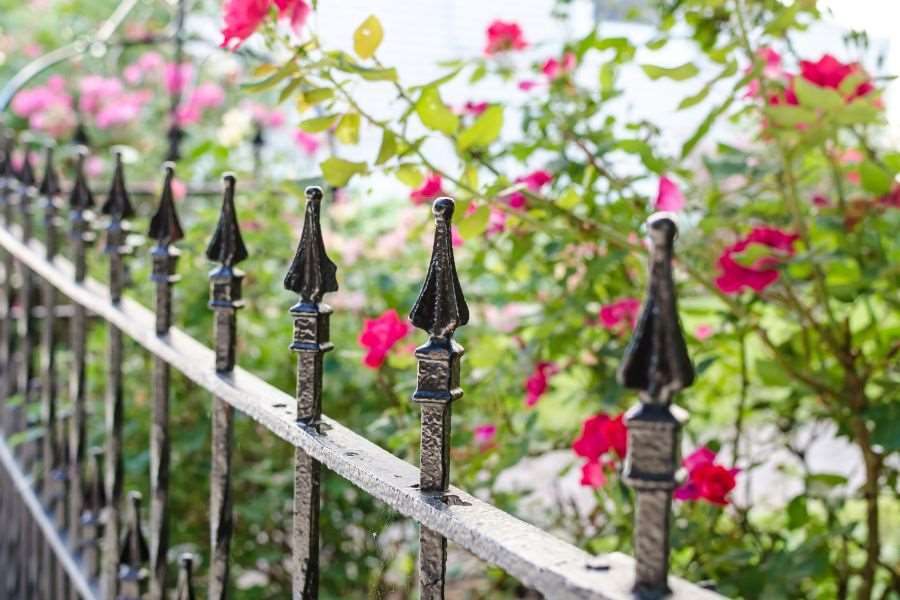 Hàng rào hoa hồng bằng sắt chắc chắn, bền đẹp theo thời gian