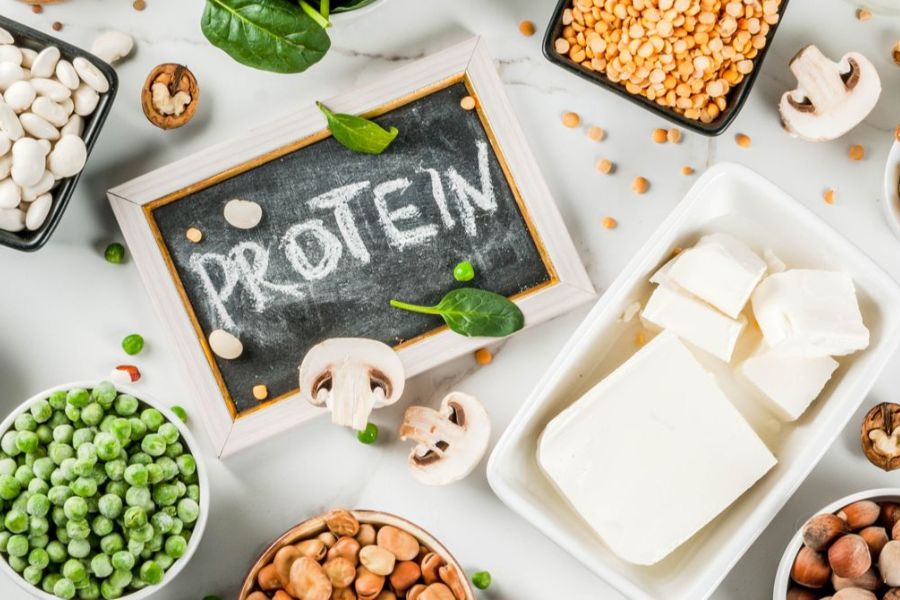 Protein là một trong 4 nhóm chất quan trọng cần có khi xây dựng thực đơn dinh dưỡng cho trẻ mầm non