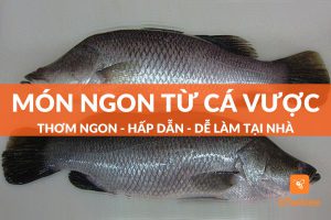 Cá vược làm món gì ngon? Top 11 món ăn ngon với cá vược