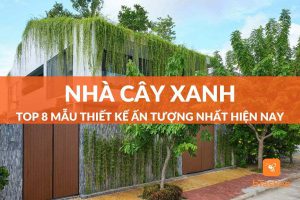 Nhà cây xanh là gì? 8 mẫu nhà cây xanh ấn tượng nhất