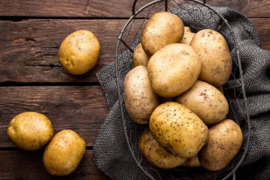 Thực phẩm từ khoai tây giúp tăng cường khả năng tập trung cho các sĩ tử