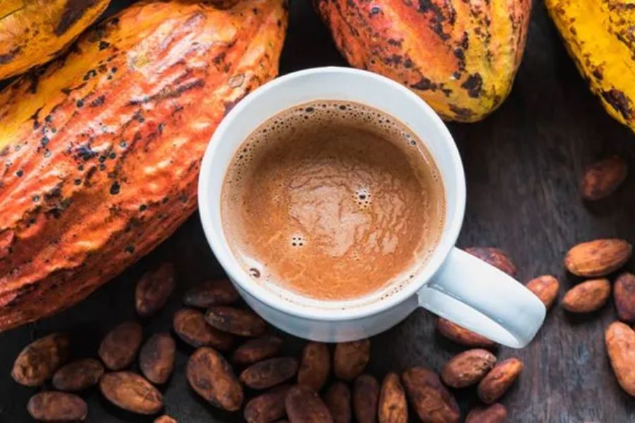 Cacao nguyên chất có khả năng giúp giảm cân tuyệt vời