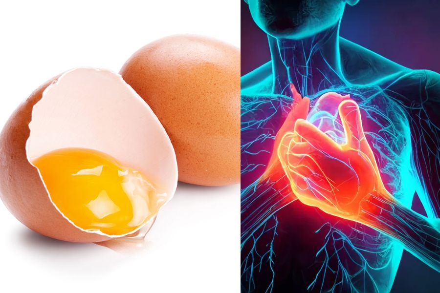 Ăn nhiều trứng sẽ tăng nguy cơ mắc các bệnh liên quan đến hệ tim mạch