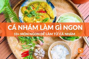 Cá nhám làm món gì ngon? 10+ món ngon dễ làm từ cá nhám