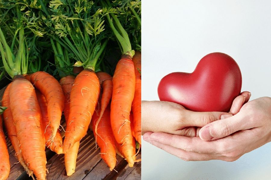 Cà rốt giúp ngăn chặn quá trình hình thành mảng bám trong động mạch.