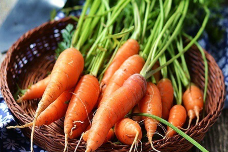 Cà rốt có khả năng làm chậm sự hấp thụ đường trong máu.