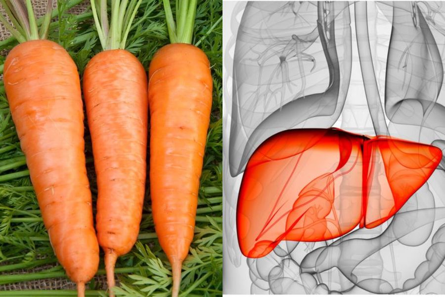 Cà rốt hỗ trợ quá trình phục hồi sức khỏe của lá gan.