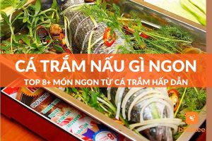 Cá trắm nấu gì ngon? Top 8 món ngon từ cá trắm thơm ngon hấp dẫn