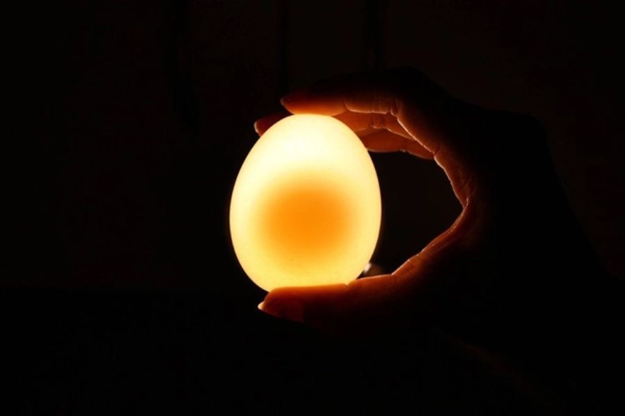 Soi trứng dưới ánh đèn để chọn trứng ngon