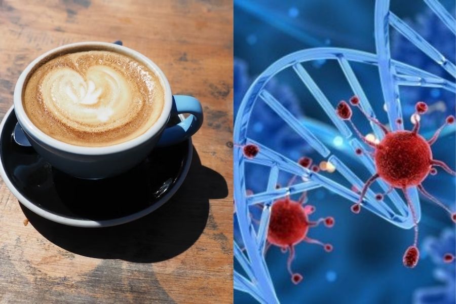 Uống cafe đúng cách sẽ giúp bạn giảm thiểu nguy cơ mắc các bệnh ung thư.