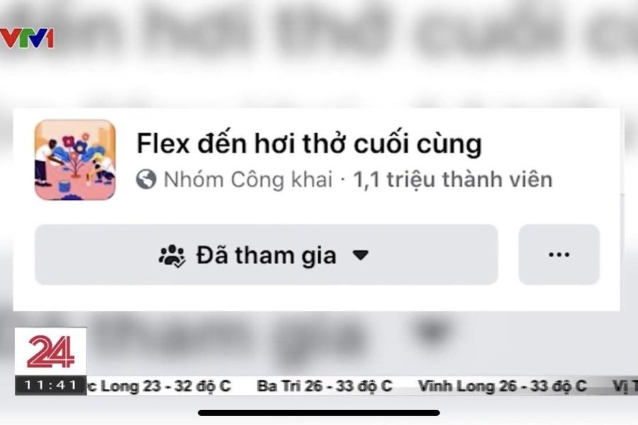 Trào lưu flex được Đài Truyền hình Việt Nam nhắc tên