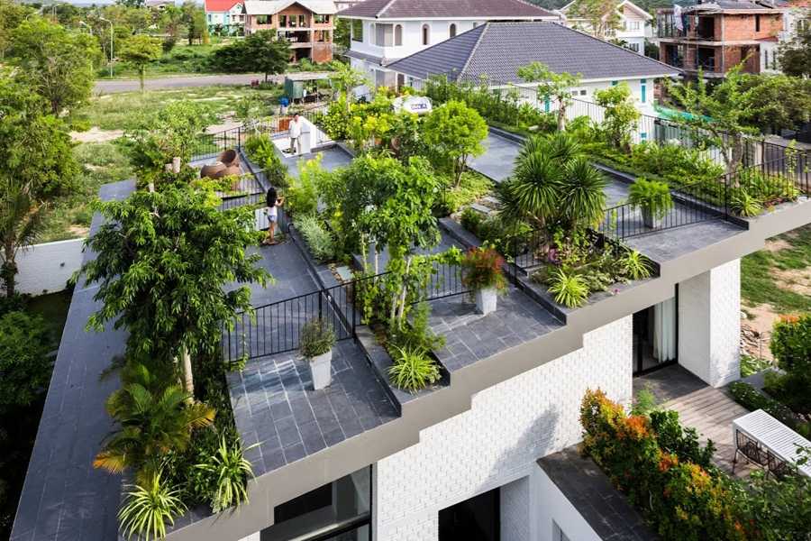 Làm mát không gian sống bằng cách trồng cây xanh trên mái tôn.