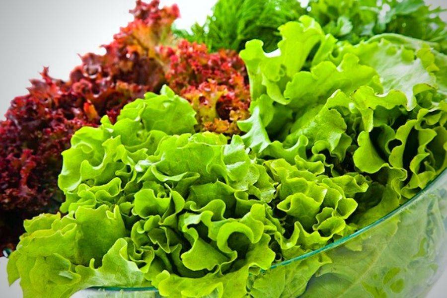 Kết hợp ăn bánh ướt với các loại rau xanh, giúp hệ tiêu hóa hoạt động hiệu quả hơn.