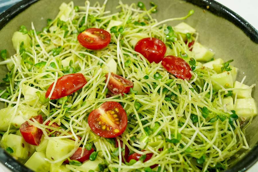 Salad rau mầm cung cấp lượng lớn chất xơ và vitamin cho cơ thể