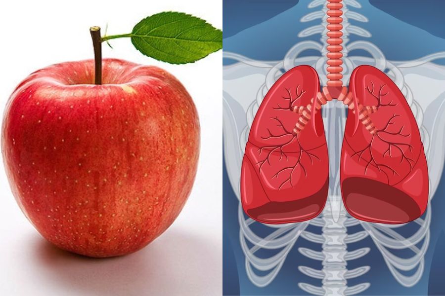 Ăn táo thường xuyên giúp ngăn ngừa sản sinh tế bào dẫn đến ung thư phổi
