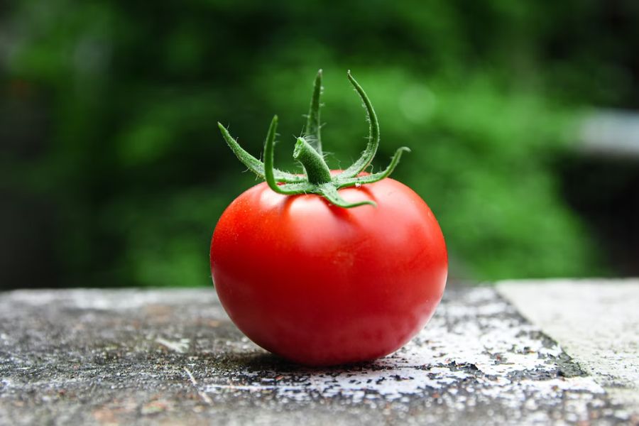 Lượng calo của cà chua rất thấp phù hợp cho quá trình giảm cân.