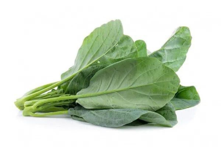 Ăn rau cải bó xôi giúp cung cấp lượng lớn chất đạm cho cơ thể.
