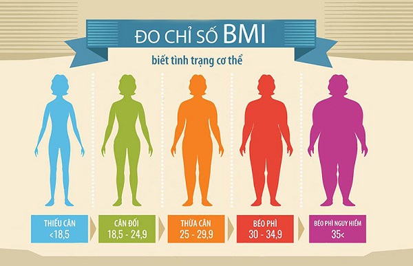 Chỉ số BMI giúp xác định thể trạng cơ thể.