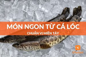 Món ngon từ cá lóc