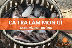 Cá tra làm món gì ngon
