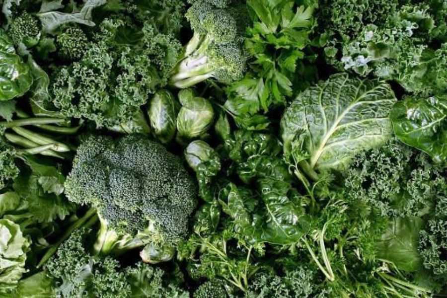 Ăn các loại rau xanh giúp cơ thể cảm thấy no hơn.