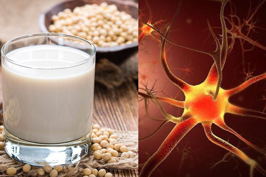 Sữa đậu nành giúp bảo vệ mạch máu.