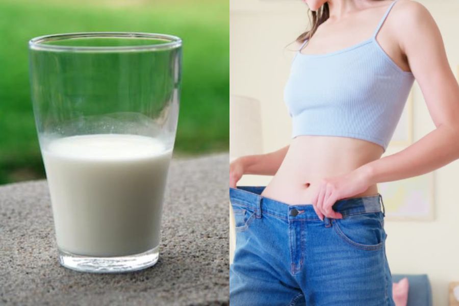 Sữa tươi không đường giúp cơ thể kiểm soát cân nặng một cách hiệu quả.