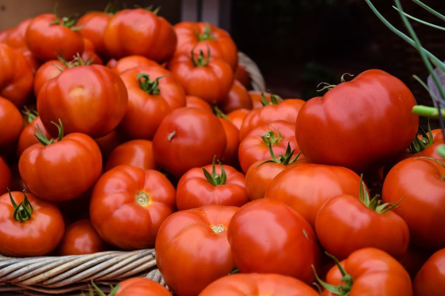 Cà chua chứa nhiều chất dinh dưỡng tốt cho cơ thể.