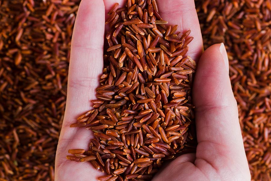 Gạo lứt đỏ được ưa chuộng bởi màu sắc đẹp, hàm lượng dinh dưỡng cao.