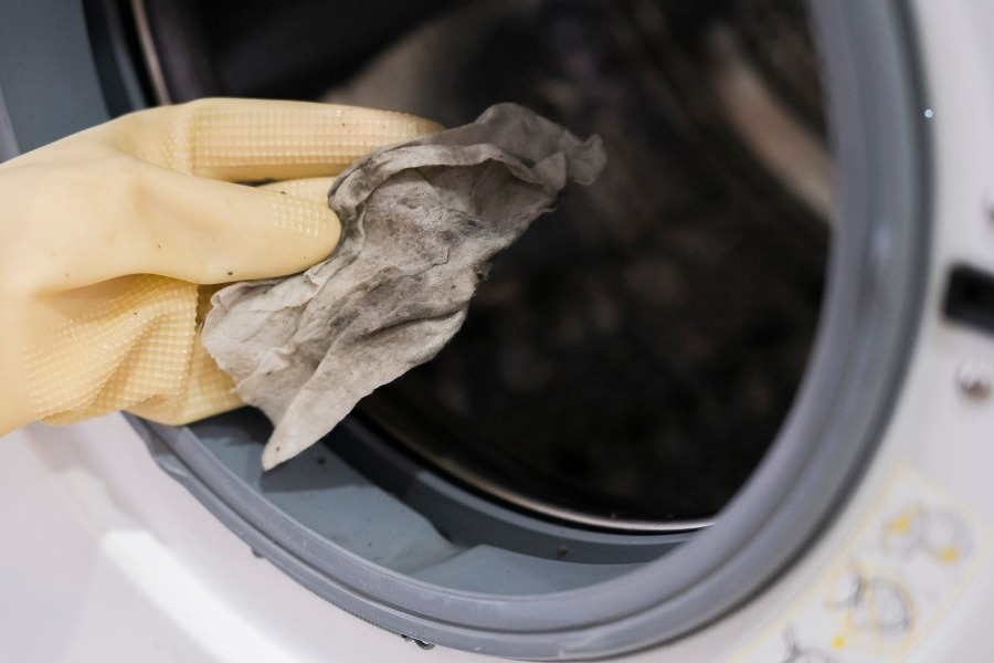 Vệ sinh máy giặt định kỳ để loại bỏ bụi bẩn, mùi hôi và ẩm mốc.