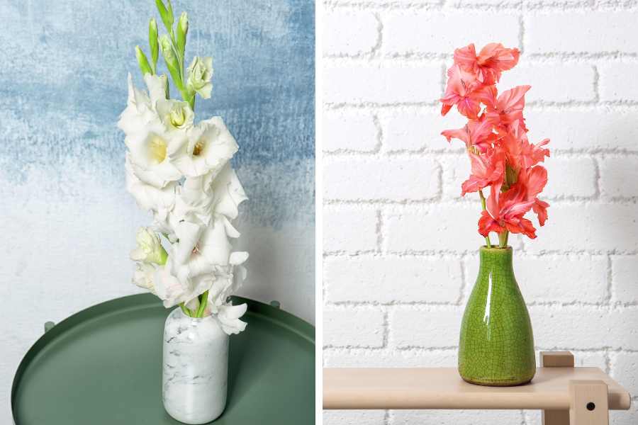 Cắm hoa lay ơn trắng kết hợp với bình gốm hiện đại và đẹp mắt.