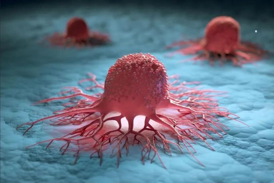 Cơm tấm tiềm ẩn nhiều nguy cơ gây ra tế bào ung thư từ cách chế biến.