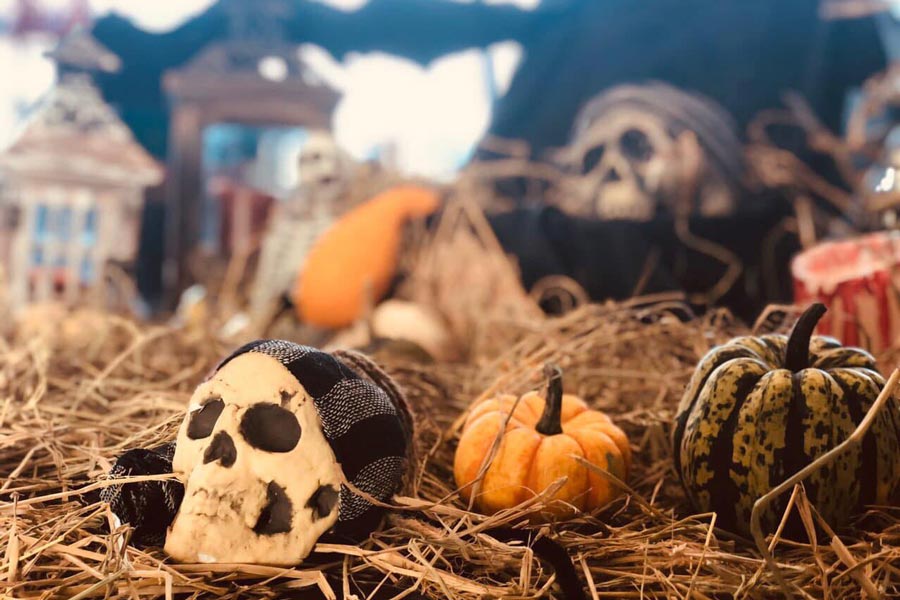 Trò chơi săn bí ngô Halloween kích thích sự tìm tòi của các bé.