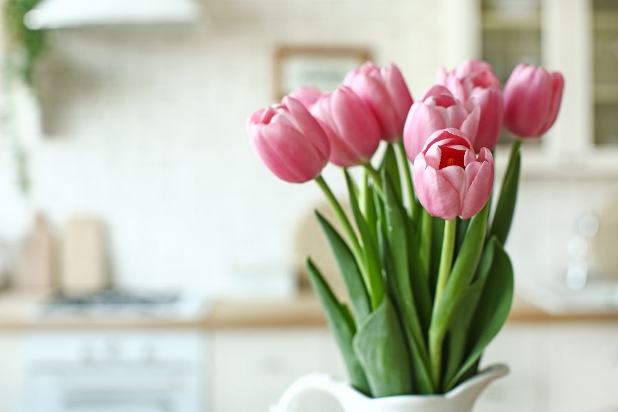 Bó hoa tulip hồng đơn giản - Ring my bell.