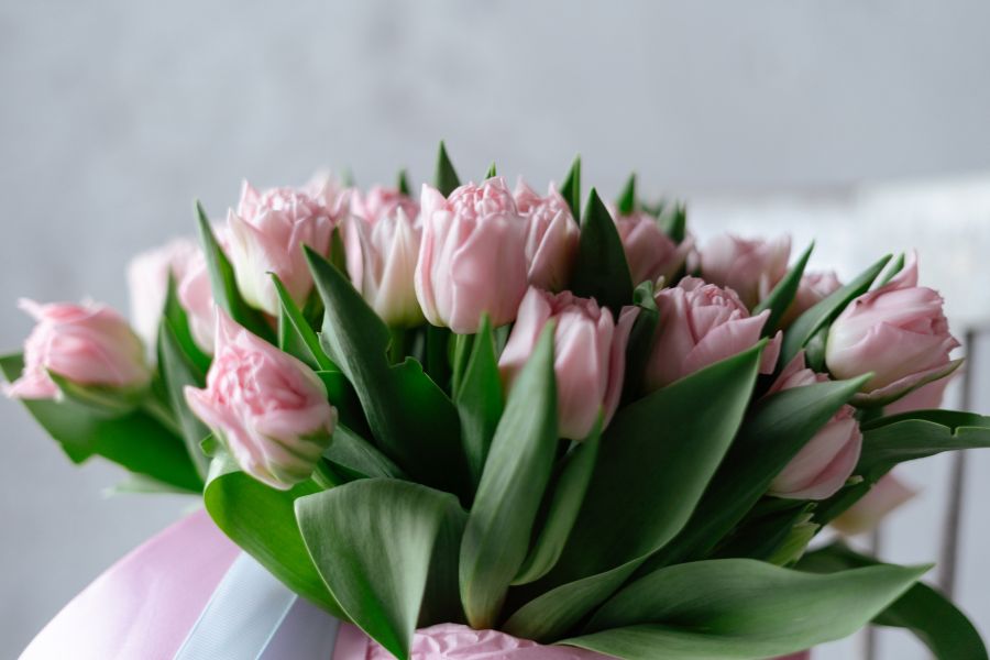 Bó hoa tulip hồng - Ngọt ngào lãng mạn.