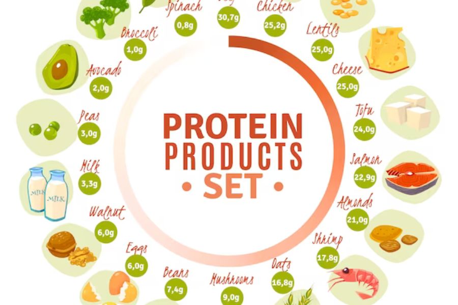 Protein cung cấp đến 15% năng lượng để cơ thể duy trì sự sống.