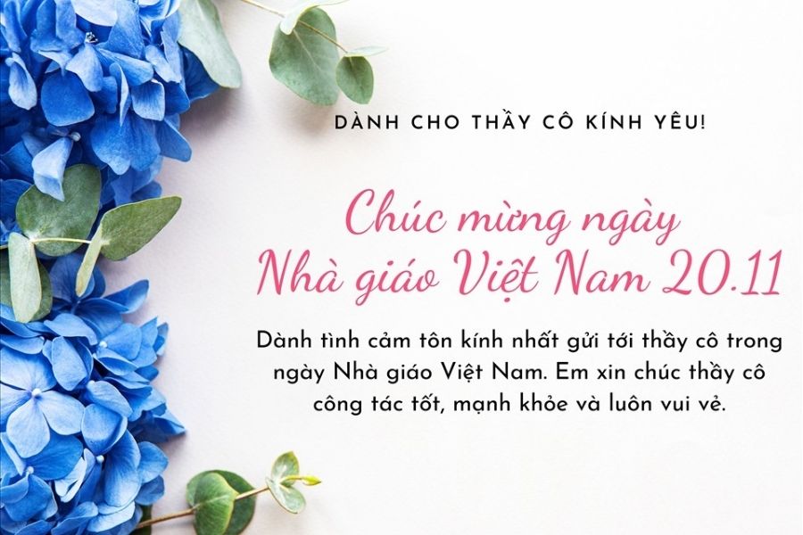 Hãy dành tình cảm tôn kính cùng sự chân thành nhất gửi tới thầy cô trong ngày Nhà Giáo Việt Nam.