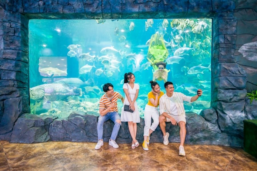 Vinpearl Aquarium Times City được mô tả như một "đại dương thu nhỏ" nằm ở trung tâm của Thủ đô.
