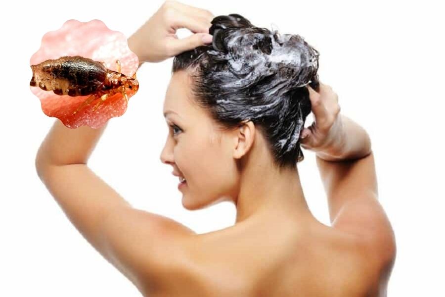 Ủ tóc với dầu xả giúp tiêu diệt chấy trên tóc.