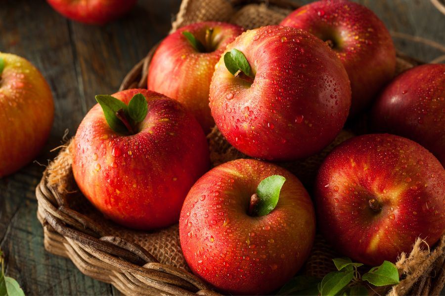 Ăn trái cây có mập không? Táo là một loại quả được ưa chuộng trong thực đơn ăn kiêng