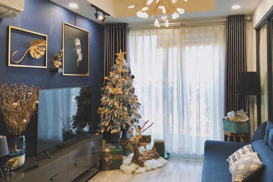 Cây thông Noel là giống cây ưa bóng mát và nhiệt độ thấp.