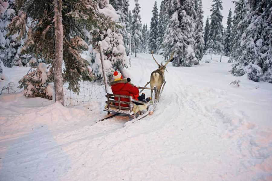 Tuần lộc kéo Ông già Noel trên con đường đầy tuyết.