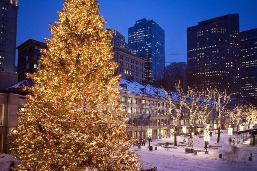 Boston - Anh đón lễ Giáng Sinh rực rỡ ánh đèn.