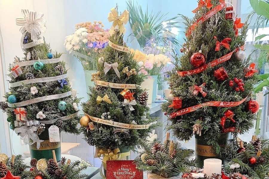 Trang trí cây thông Noel dạng mini tạo nên không gian độc đáo và được ưa thích.